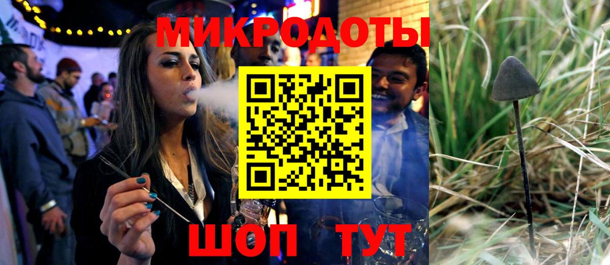 Галлюциногенные грибы Cubensis Карпинск